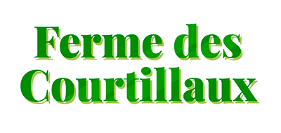 Accueil