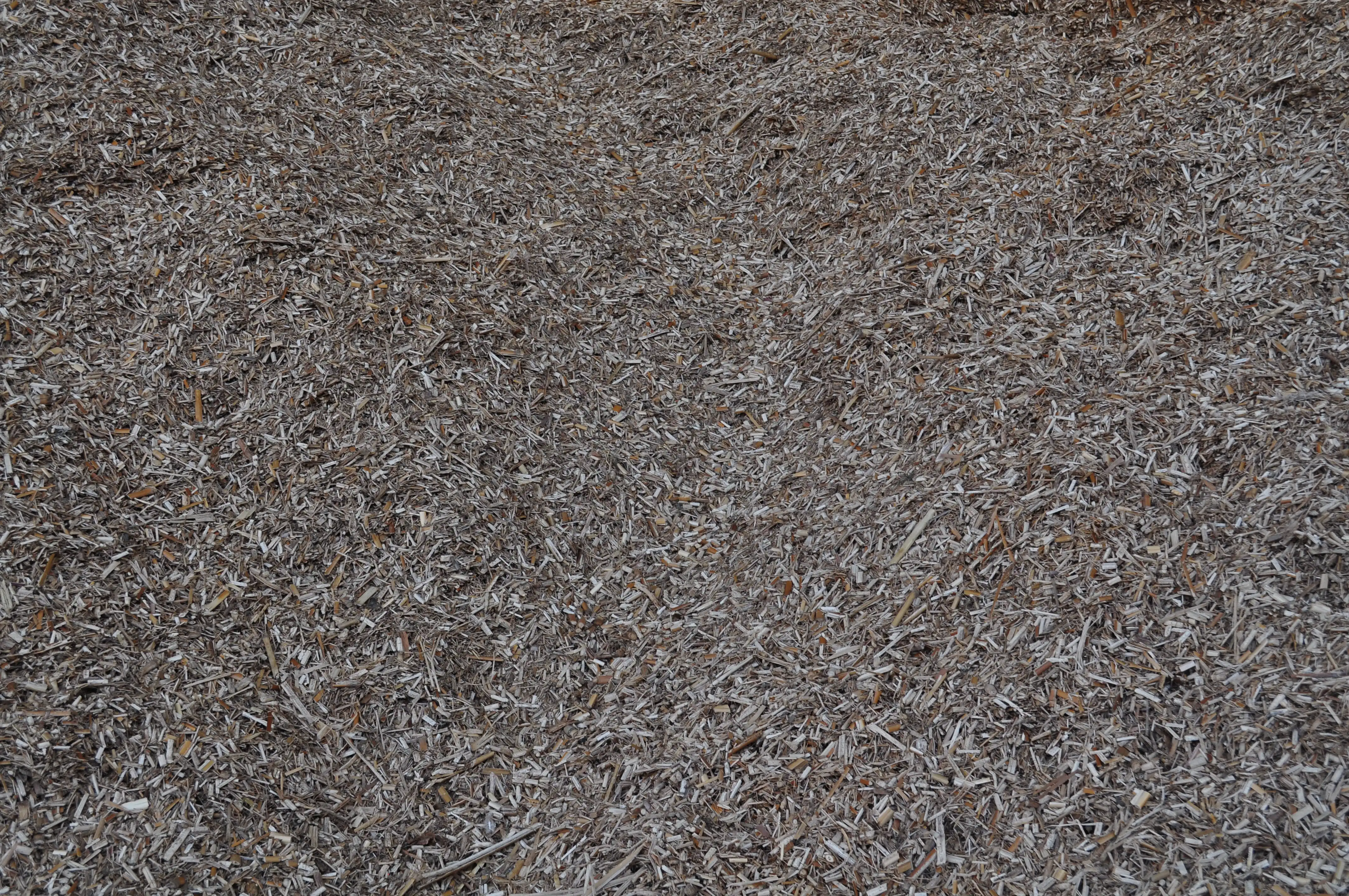 img-contenu (3)
