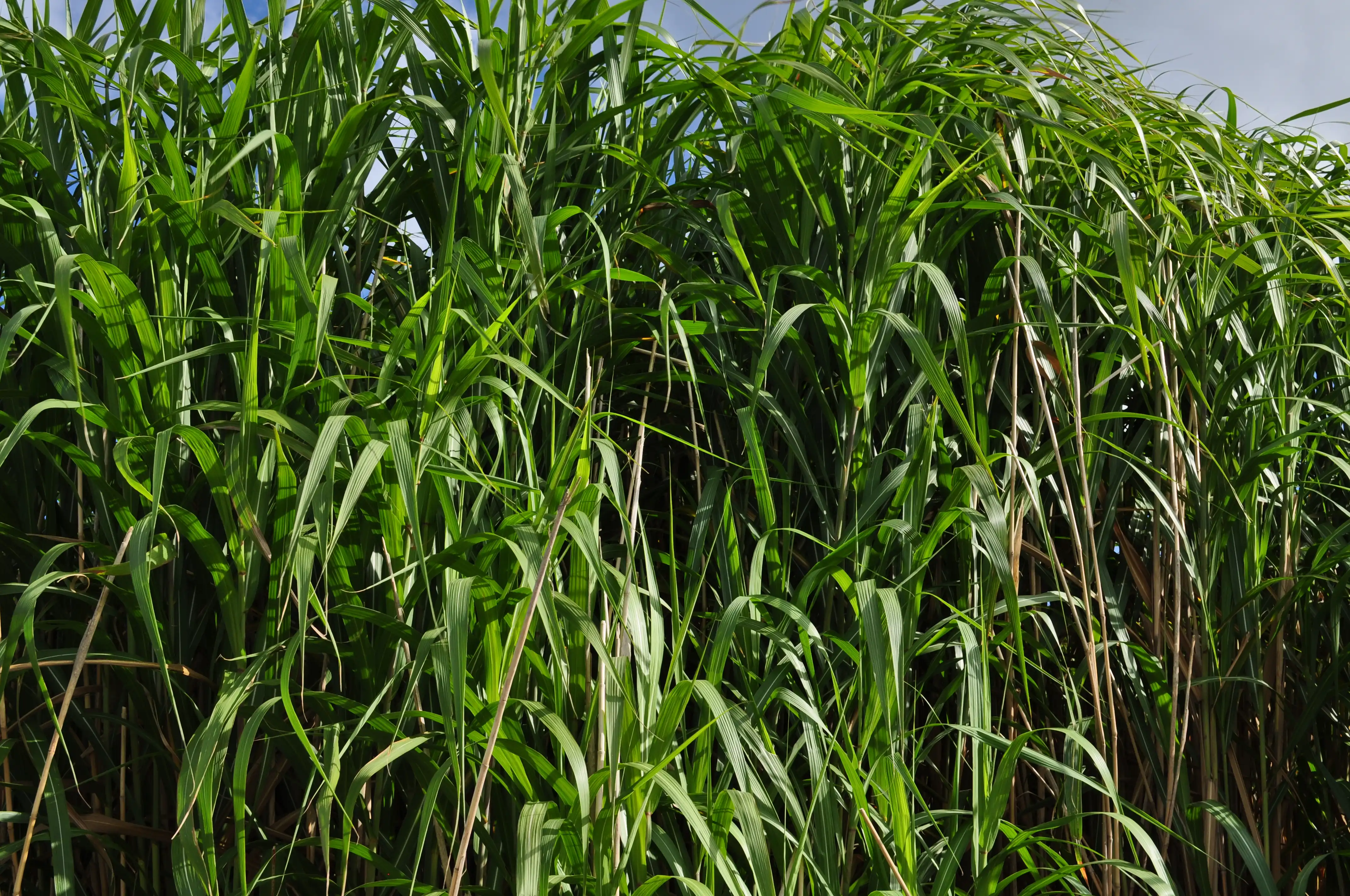 img-contenu (5)